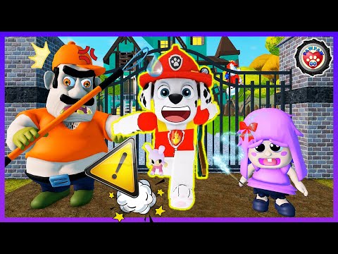 Paw Patrol Marshall’s Baby Polly House Escape (Obby) - Roblox - 汪汪隊立大功之毛毛逃離波利寶寶屋 - 機器方塊