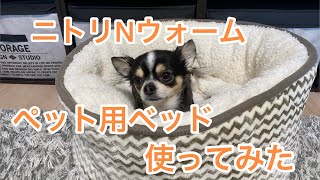 ニトリNウォーム ペットベッド使ってみた