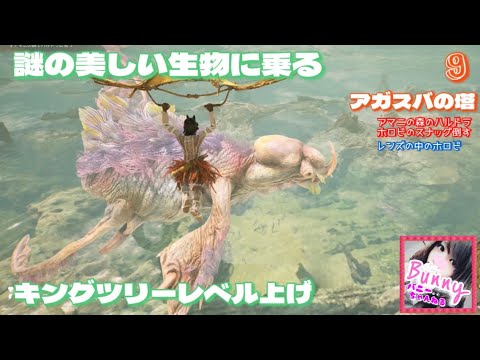 #9【アガスバの塔】【女性実況】新作オープンワールド／【Towers of Aghasba】PS5 LIVE