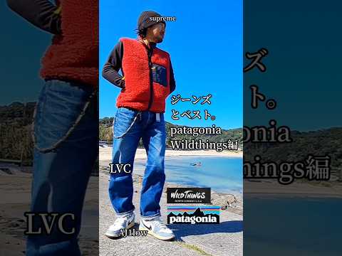 【王道アメカジ】デニム×ベストの90年代アメリカ古着コーデ　#shorts #リーバイス #patagonia #wildthings #supreme #retrox #ナイキ #jordan