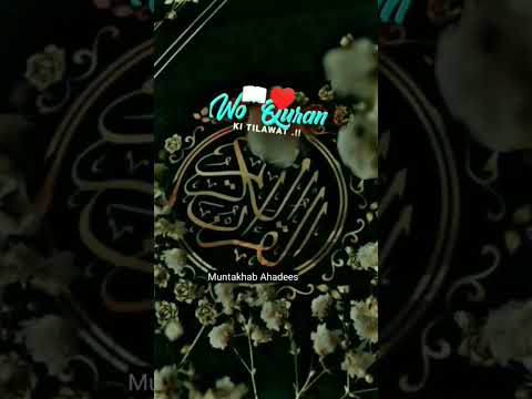 ramzaan coming soon 🥰 whatsapp status #islamic #shortvideo #ytshorts