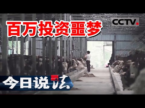 《今日说法》一束玫瑰花 一支口红 四川民营企业家不惜“为爱”投资数百万！20240912 | CCTV今日说法官方频道