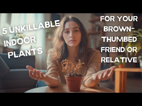 5 Unkillable Plants Your Brown-Thumbed Friend NEEDS to Know About! 🌱🤦‍♀️