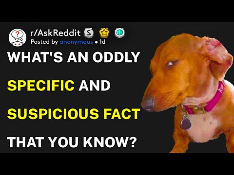 What's an oddly specific and suspicious fact that you know? (r/AskReddit)