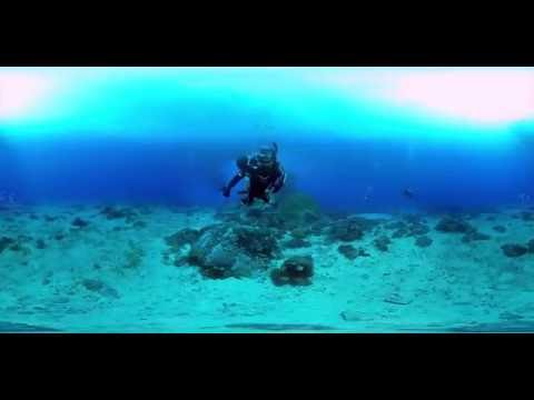 2016 Green Island Big Mushroom boat dive continious shot