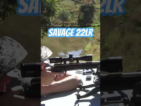 Savage B22 22lr #gun #shooting #rifle #ozziereviews #22longrifle #22lr #firearms #accuracy #savage