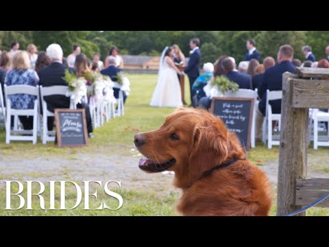 This Woman Will Walk Your Dog Down the Aisle At Your Wedding | BRIDES