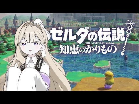 【ゼルダの伝説 知恵のかりもの】てーねーなゼルダするのだわ！【エリモ】