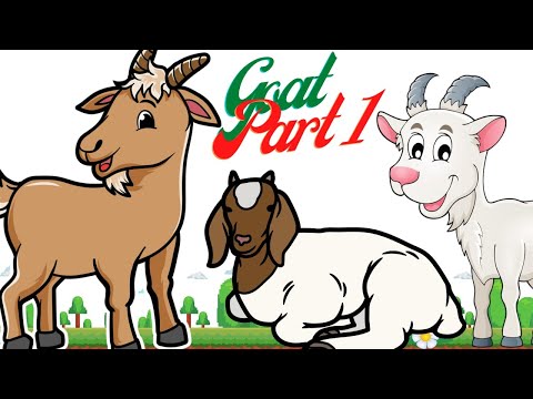 Learning cute goats part 1 - Animal Sounds