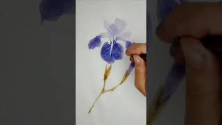 教你画写意水墨画：《鸢尾花的画法》 Teach you to draw freehand ink and wash Painting: The Painting Method of Iris