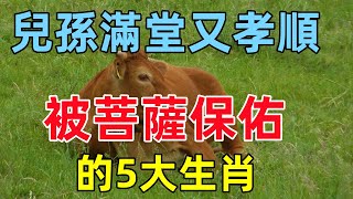 被菩薩保佑的5大生肖，一生大富大貴，兒孫滿堂又孝順，越老越享福！