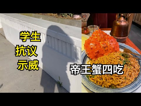 【博后VLOG】美国大学学生抗议示威潮下的UCLA校园｜帝王蟹四吃！