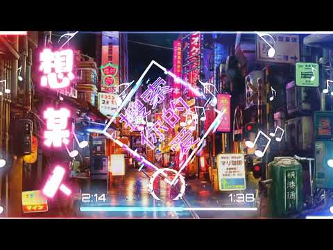 想某人dj dj remix 抖音dj 2022 中文舞曲