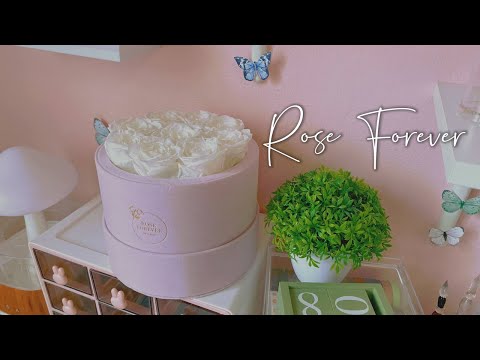 Rose Forever | Unboxing 💮Mother's Day Gift🩷