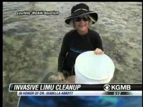 WAQ KGMB Invasive  5PM 06/28/14