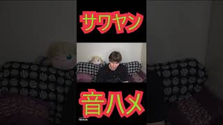 サワヤンおもしろ場面集#音ハメ#hack#サワヤン