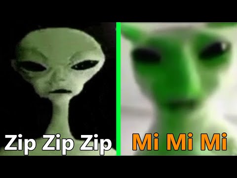 Alien Speaking Meme VS Green Alien Cat