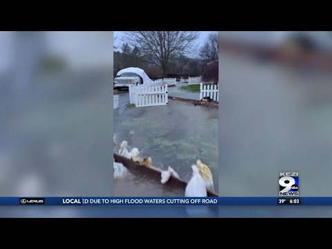 Rogue Valley sees widespread flooding