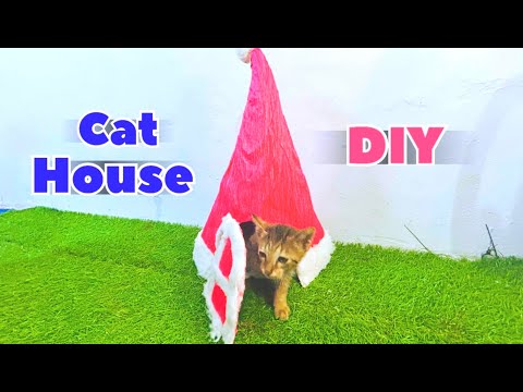 DIY Indoor Cat House 😺 | Beautiful and Unique kitty home 🏠