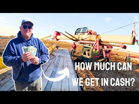 SCRAPING AN AUGER after it CRASHED TO THE GROUND! How much do we get in CASH!?