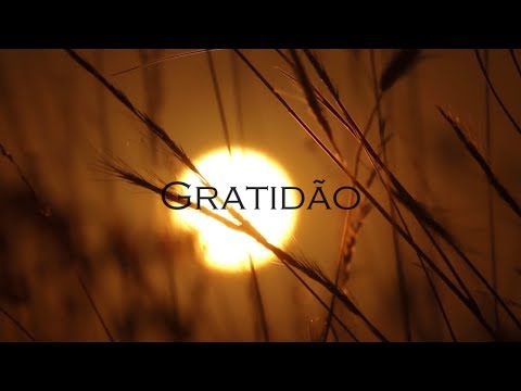 Banca 44 - Gratidão ♫