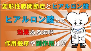 変形性膝関節症とヒアルロン酸 ヒアルロン酸の注射って効果ある⁉ ロキソニン以外の薬についても解説‼ 【医師が解説】