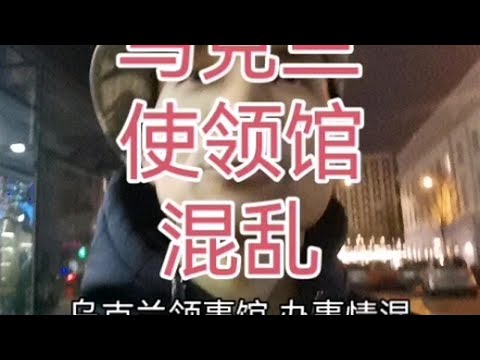 我想自己申请乌克兰志愿者签证，失败，没门儿