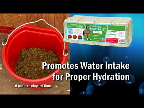 Purina Hydration Hay