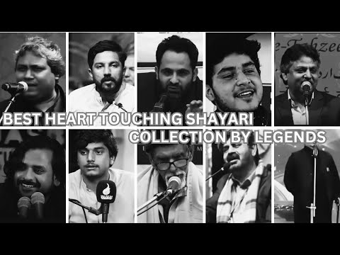 New Sad Poetry Collection By Legends || Best Urdu shayari in 2024 || Tehzeeb Hafi ||rang_e_ishq000||