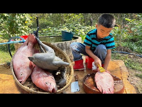 Yummy black chicken and red fish cooking - Chef Seyhak