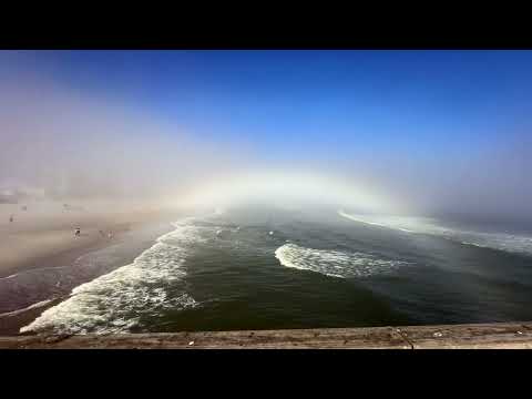 Super Fog Bank Surfing / NE Florida Update  12pm 12.30.24