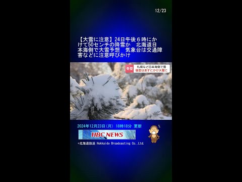 【大雪に注意】24日午後６時にかけて50センチの降雪か　北海道日本海側で大雪予想　気象台は交通障害などに注意呼びかけ #Shorts