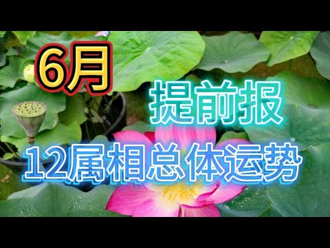 6月：12属相总体运势提前报