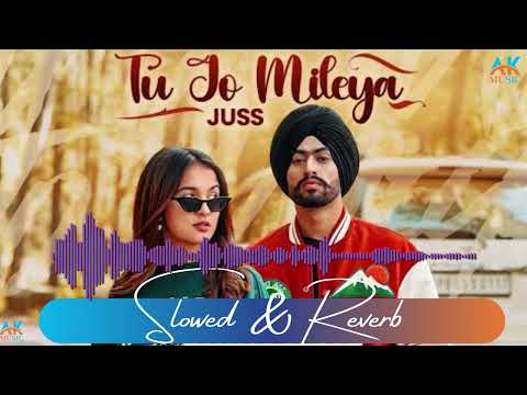 Tu Jo Mileya | Full Audio slowed Reverb | Juss x MixSingh | New Punjabi Song 2024 | AK Music