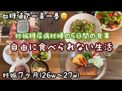 【アラサー妊婦vlog】妊娠糖尿病妊婦の食事記録🍚 | 初めての自己血糖値測定🩸 | 食事療法 | 妊娠7カ月 | 専業主婦【初マタ】