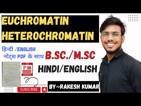 euchromatin and hetrochromatin । euchromatin and hetrochromatin in hindi #bsc #msc #msc2021 #net