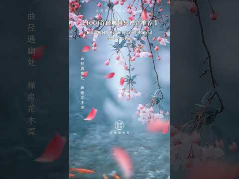 聽一曲禪意古琴《禪房花木深》，淡看浮生事，修得平常心。# 國樂#五音療愈五音療愈分享#音藥#中國樂器#國風古韻弘揚國樂古風音樂分享國樂禪音禪樂#純音樂 #輕音樂 #音樂 #音樂分享