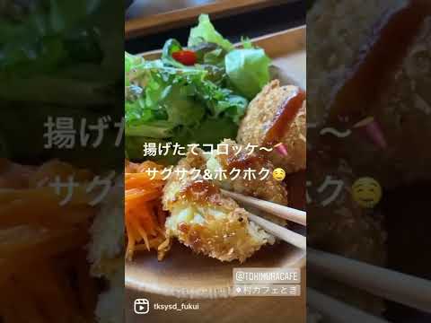 【福井グルメ】村カフェときさん（あわら市）で、まごわやさしいランチ食べてきました【食レポ動画】#shorts