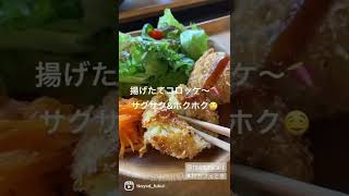 【福井グルメ】村カフェときさん（あわら市）で、まごわやさしいランチ食べてきました【食レポ動画】#shorts