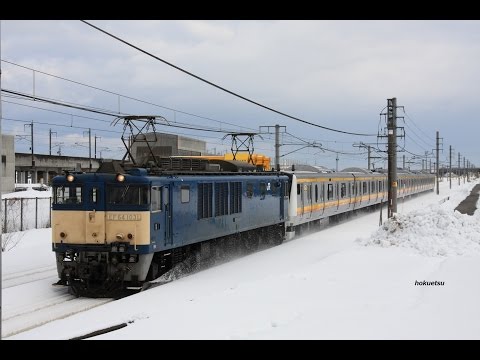 配9772レ　EF64 1031+E233ナハN12　20150113