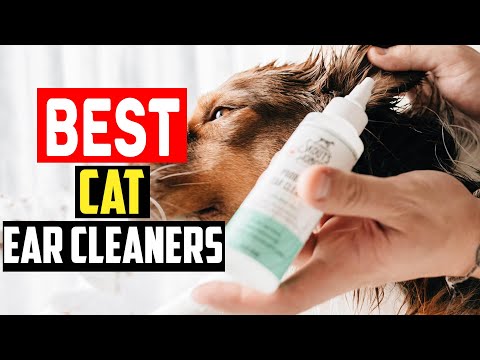 ✅Top 5 Best Cat Ear Cleaners of 2024