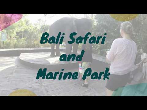 バリサファリ＆マリンパーク🌺Bali Safari & Marine Park Animal Presentation Elephant Show Harimau Show