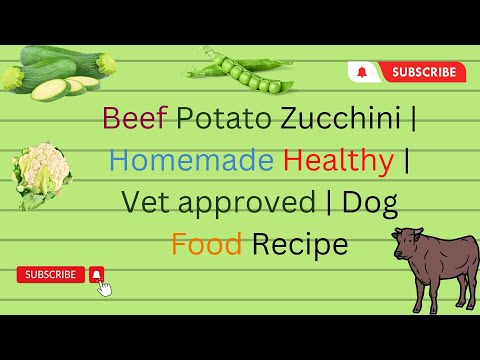 Beef Potato Zucchini  Homemade Healthy  Vet approved  Dog Food Recipe DIY Dog Food  blogsbyibrar