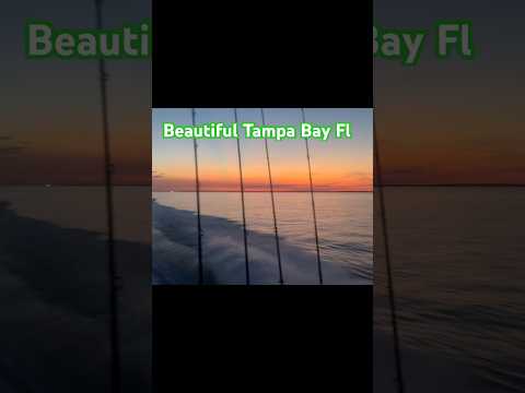 Beautiful Tampa Bay Florida #tampabay #florida #tbfc #gulfofmexico #adventure