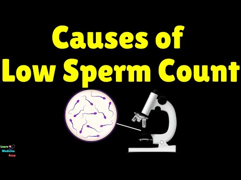 Causes of Low Sperm Count | Causes of Male Infertility | Oligospermia