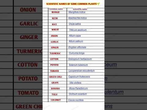 Scientific names of Common Plants🌱 #short #shorts  #scientificname