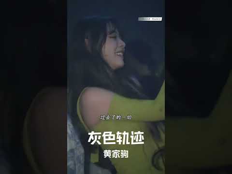 #经典粤语歌曲 #灰色轨迹 #粤语dj