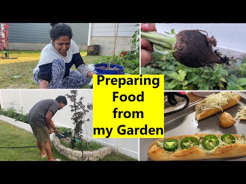 நம்ம வீட்டு தோட்டத்து முதல் விளைச்சல்🤩~Morning to Evening food from Garden~ Family Traveler Vlog