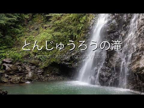 奄美大島龍郷町　とんじゅうろうの滝　Amami Oshima Tonjuro Waterfall