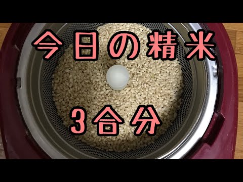 【精米vlog】玄米から5分搗　3合分